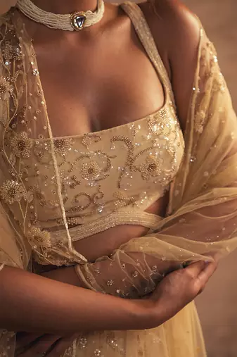 gold embroidered net lehenga set