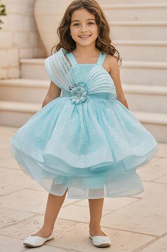 Blue embroidered net frock