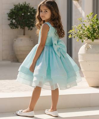 Blue embroidered net frock 2