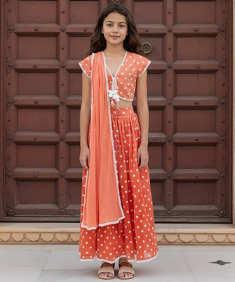 Orange embroidered chanderi lehenga set