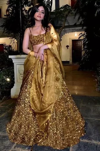 bronze Embroidered Organza Lehenga choli With Dupatta