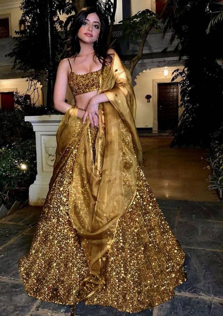 bronze Embroidered Organza Lehenga choli With Dupatta