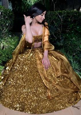 bronze Embroidered Organza Lehenga choli With Dupatta 5