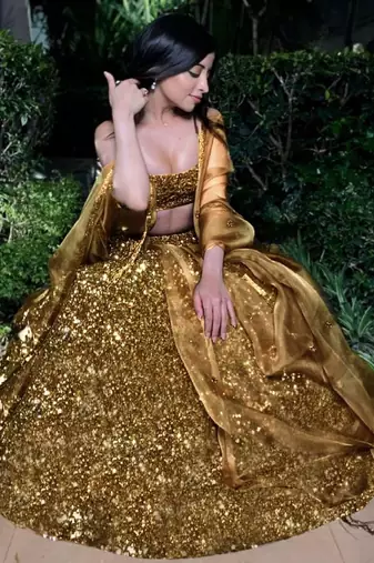 bronze Embroidered Organza Lehenga choli With Dupatta