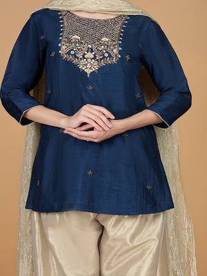 blue tissue kurta salwar set 3