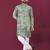 Green chikankari work viscose rayon straight kurta