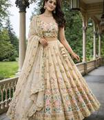 beige shimmer tissue lehenga choli