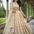 beige shimmer tissue lehenga choli