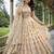 beige shimmer tissue lehenga choli