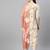 Women cotton off white floral print straight kurta, trouser with dupatta set