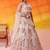 Cream Net Sequins embroidery Lehenga Choli With Dupatta