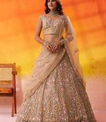 Beige Net Sequins embroidery Lehenga Choli With Dupatta