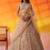 Beige Net Sequins embroidery Lehenga Choli With Dupatta