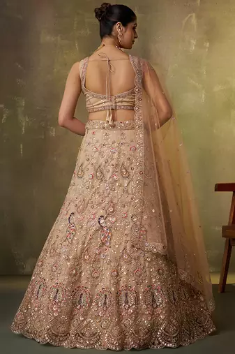 Beige Net Sequins embroidery Lehenga Choli With Dupatta