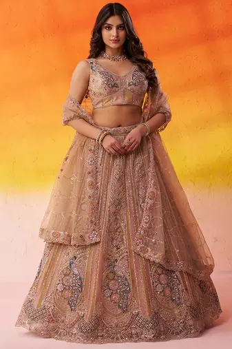 Beige Net Sequins embroidery Lehenga Choli With Dupatta