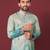 Light green multicolour kurta