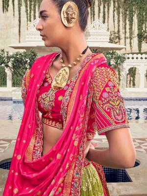 green embroidered organza lehenga set choli with dupatta 3