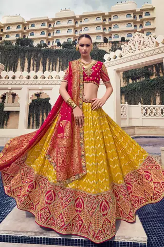 yellow embroidered organza lehenga set choli with dupatta