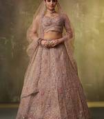 Beige Net Sequins embroidery Lehenga Choli With Dupatta