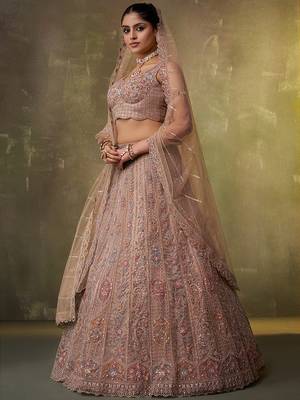 Beige Net Sequins embroidery Lehenga Choli With Dupatta 3