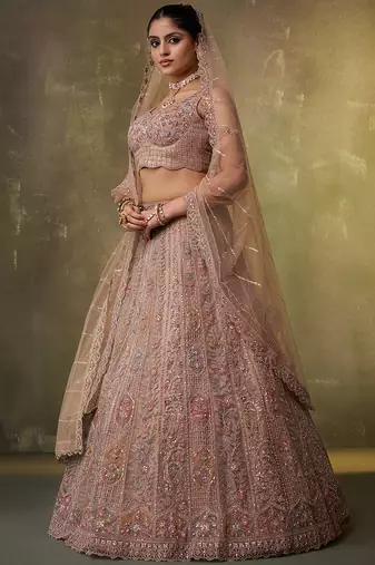 Beige Net Sequins embroidery Lehenga Choli With Dupatta