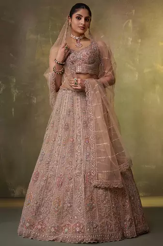 Beige Net Sequins embroidery Lehenga Choli With Dupatta