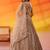 Beige Net Sequins embroidery Lehenga Choli With Dupatta