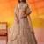 Beige Net Sequins embroidery Lehenga Choli With Dupatta