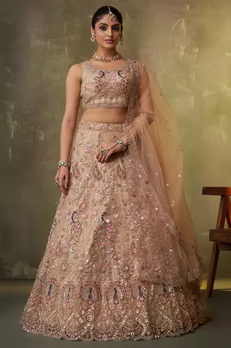 Beige Net Sequins embroidery Lehenga Choli With Dupatta