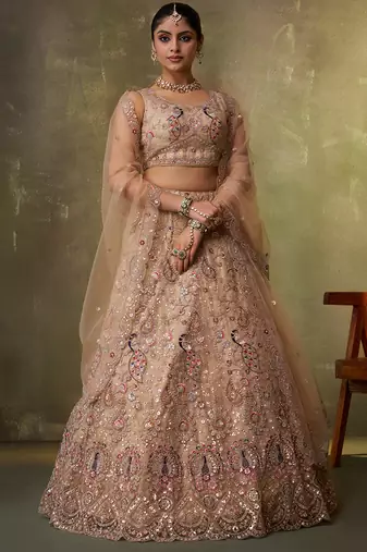 Beige Net Sequins embroidery Lehenga Choli With Dupatta