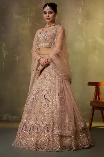Beige Net Sequins embroidery Lehenga Choli With Dupatta