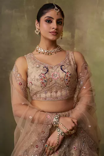 Beige Net Sequins embroidery Lehenga Choli With Dupatta