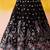 BLACK Net Sequins Thread & Embroidery Lehenga Choli With Dupatta