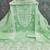Women's green thread embroidery chanderi dress material