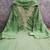 Women's light green embroidery chanderi dress material