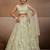 Lime green Net Sequins embroidered Lehenga Choli With Dupatta