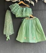 Green printed organza lehenga set