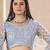 SKY BLUE Net Embroidered Lehenga set with Choli and dupatta