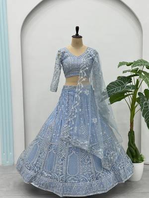 SKY BLUE Net Embroidered Lehenga set with Choli and dupatta 4