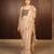 Beige embroidered chiffon saree
