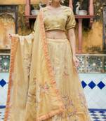 BROWN TISSUE HAND LEHENGA & BLOUSE AND DUPATTA