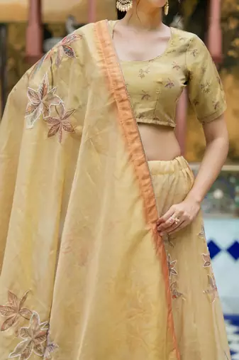 BROWN TISSUE HAND LEHENGA & BLOUSE AND DUPATTA