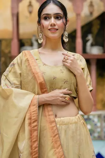 BROWN TISSUE HAND LEHENGA & BLOUSE AND DUPATTA
