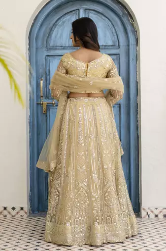 Cream embroidered net Lehenga set with Choli and dupatta