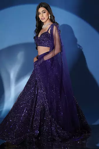 blue embroidered net lehenga set