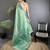 aqua green soft silk blend geomatric zari woven patola saree