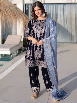 Blue Zari Embroidered Salwar Kameez 1