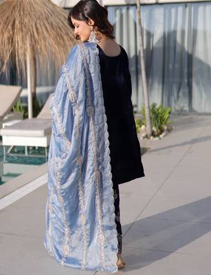 Blue Zari Embroidered Salwar Kameez 8