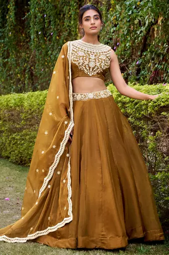 brown embroidered silk lehenga set choli with dupatta
