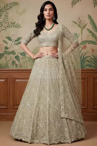 beige embroidered net lehenga set choli with dupatta
